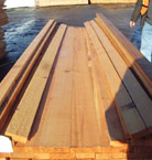 ɼ Sitka Spruce